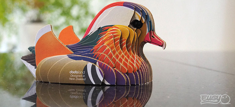 EUGY Mandarin Duck