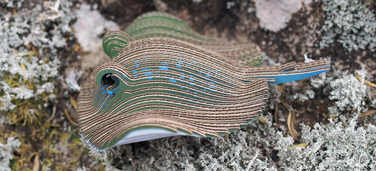 EUGY Stingray