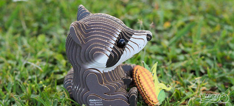EUGY Raccoon