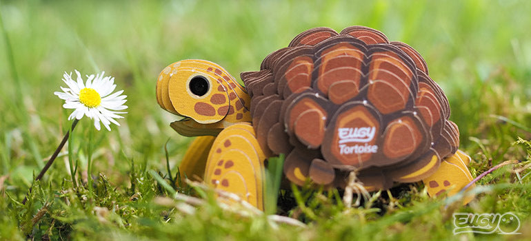 EUGY Tortoise