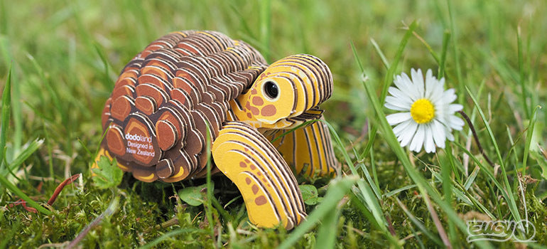 EUGY Tortoise