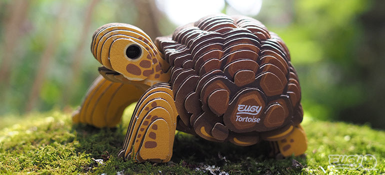 EUGY Tortoise