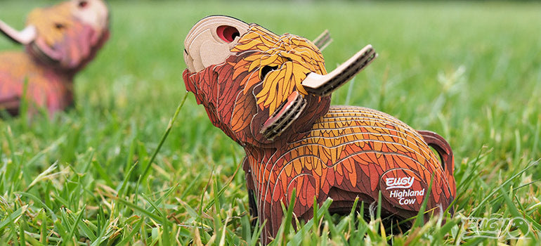 EUGY Highland Cow