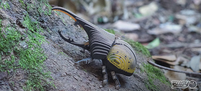 EUGY Hercules Beetle