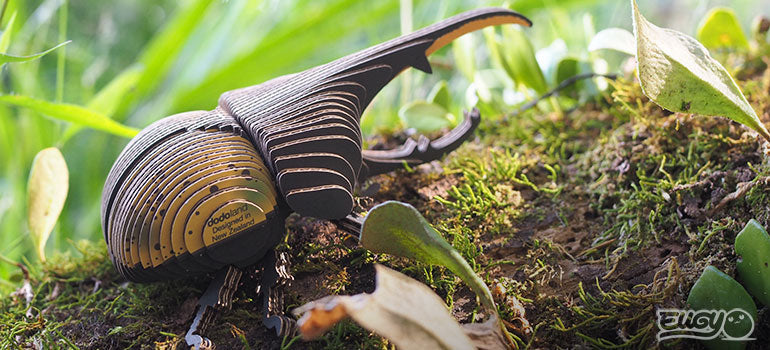 EUGY Hercules Beetle