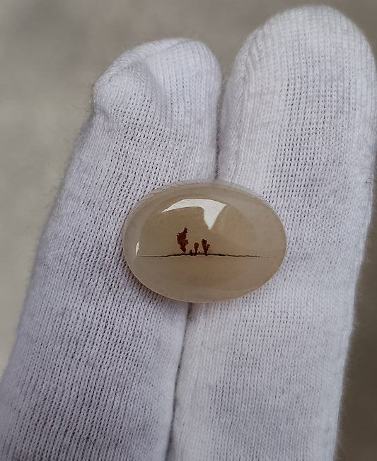 9.8ct Natural Dendritic Agate - Shajri Aqeeq -12x16x6mm