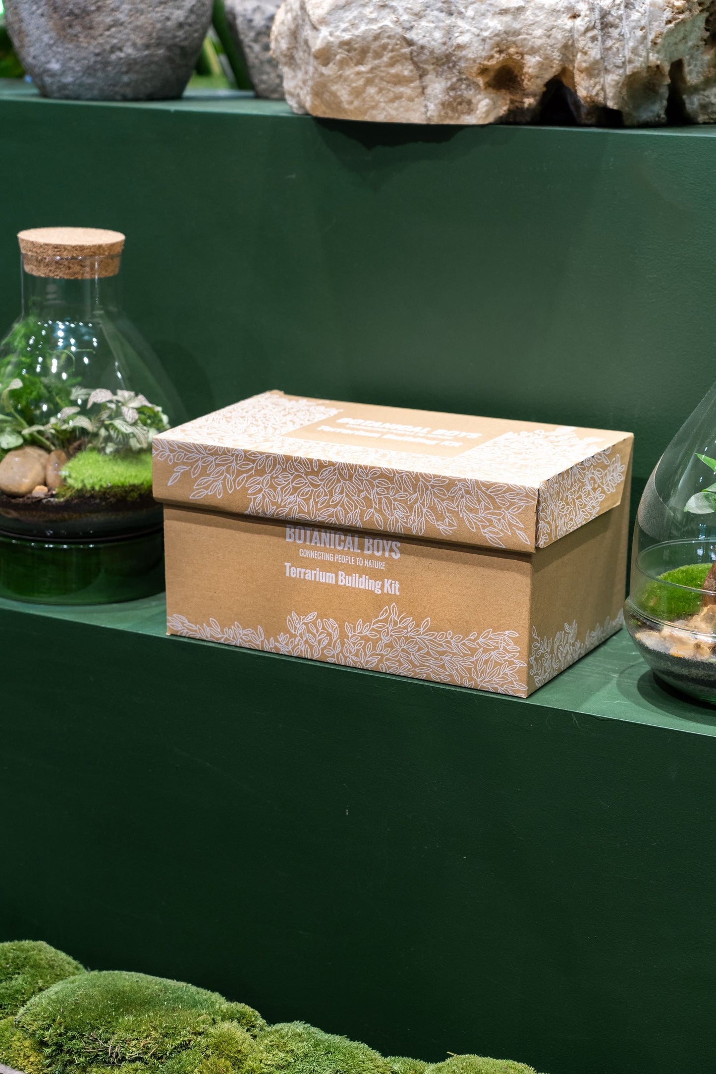 LAB Jar terrarium kit (Zen) - 24x23cm