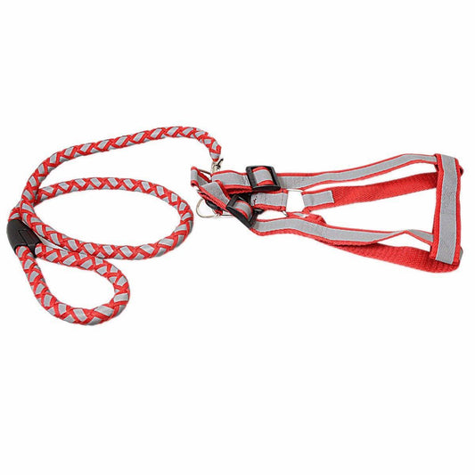 Step In Reflective Nylon Dog Harness with Leash Set
