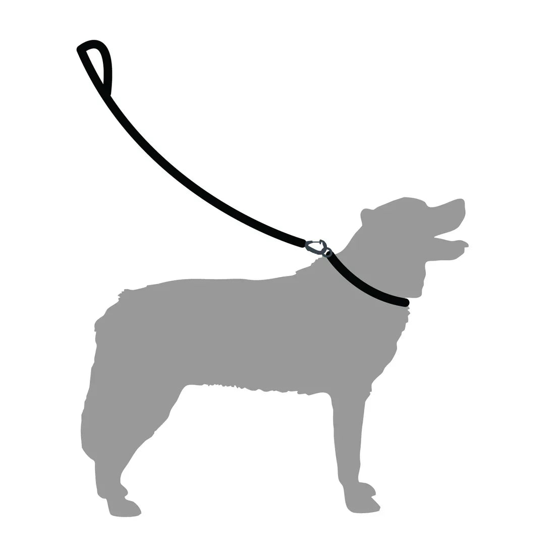 Mountain Paws Heavy Duty Rope Dog Lead - Black
