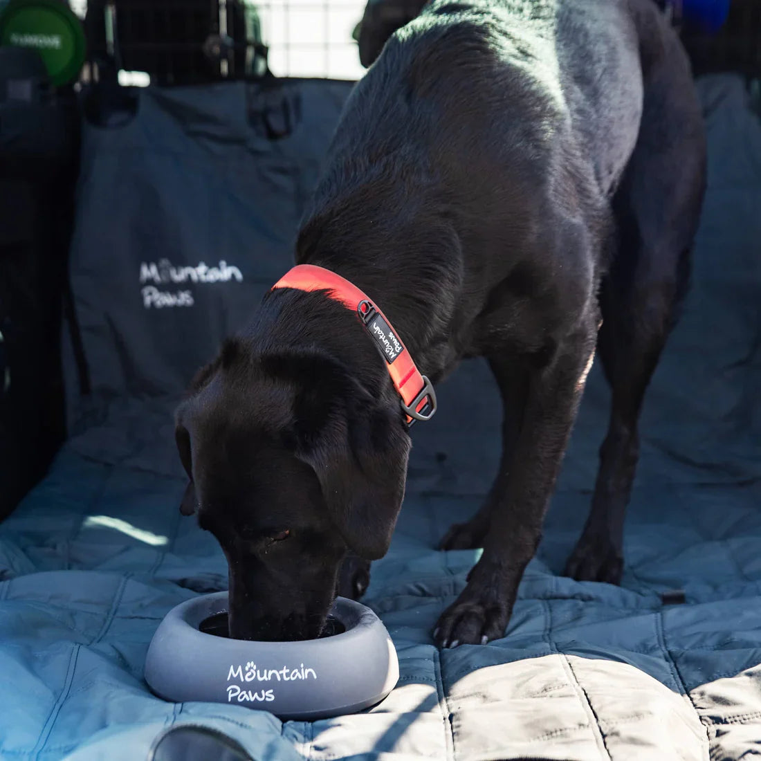 Mountain Paws Splashproof Dog Bowl - Orange