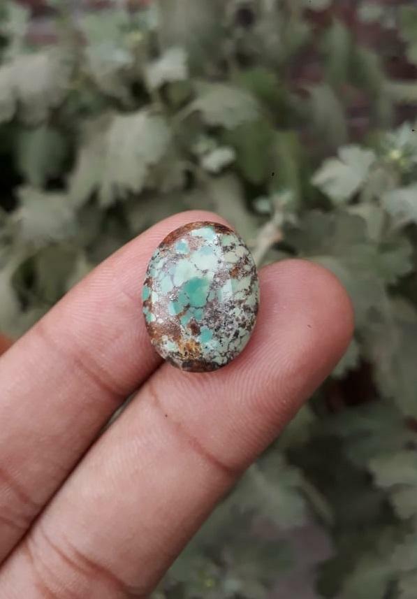 Natural Turquoise, Green Matrix Turquoise - 19x14.7mm