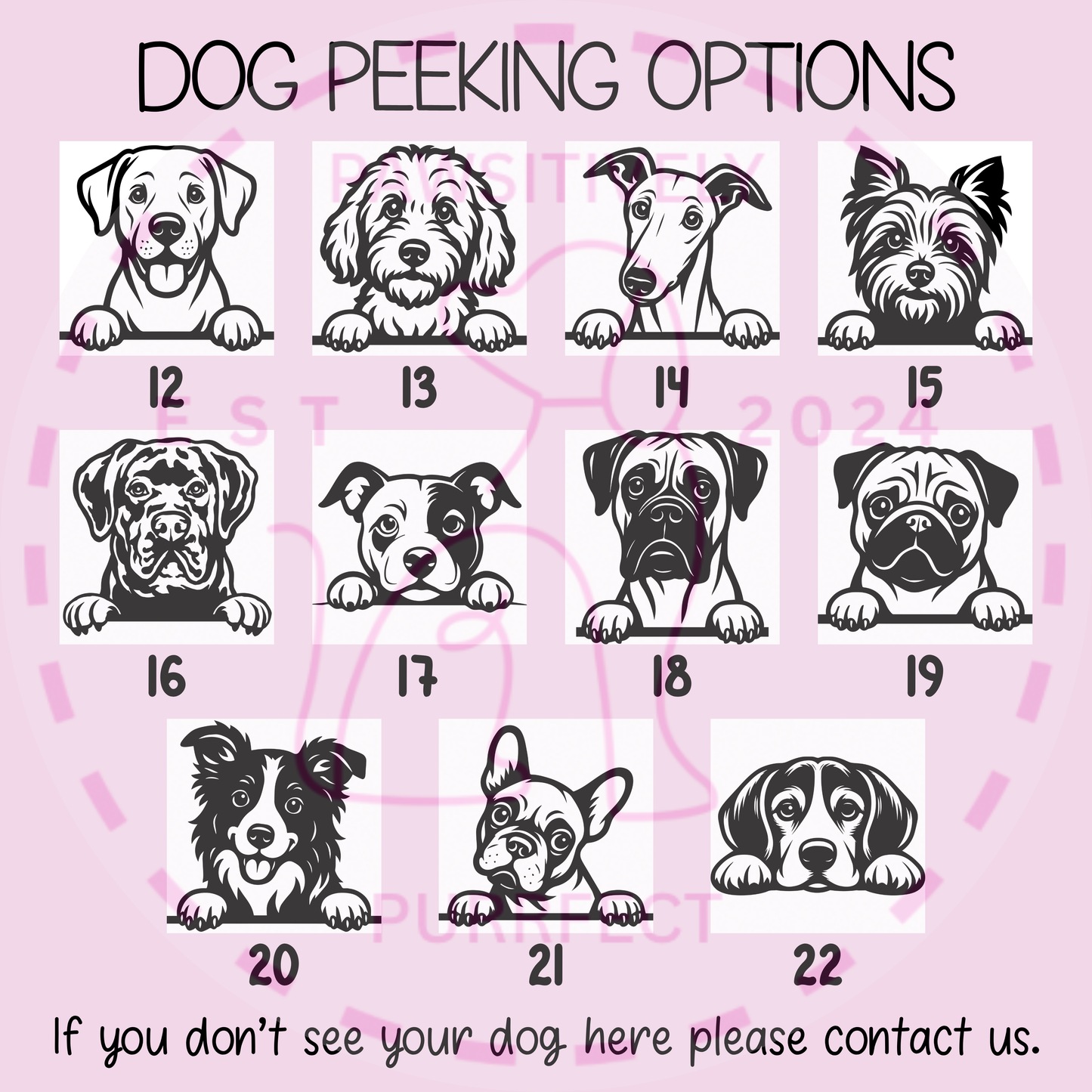 Womens Personalised Pet T Shirt For Humans