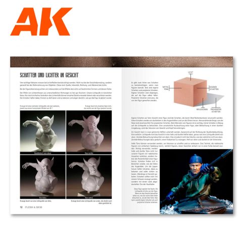 AK Learning 6 Flesh and Skin (English)