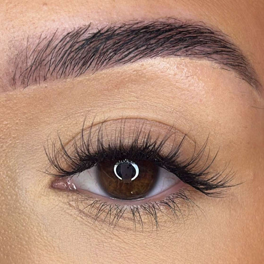 Preglued Lash Clusters - Faff Lash - Ava