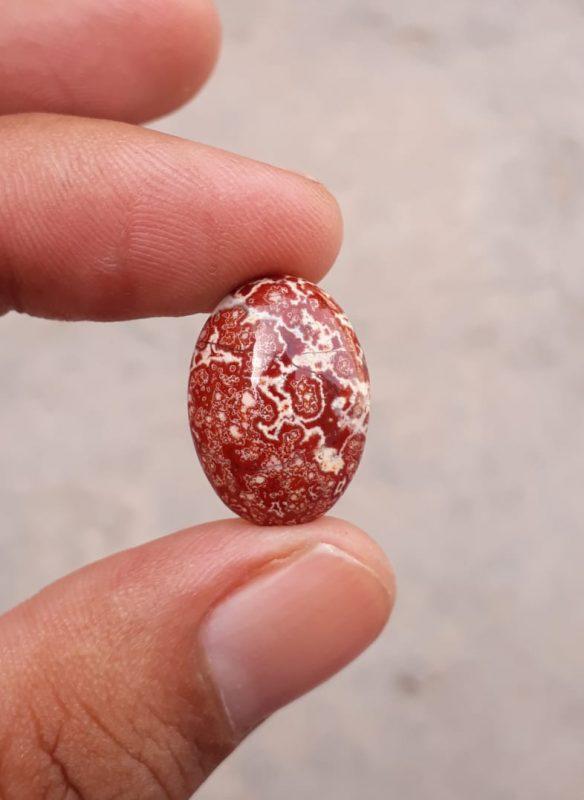 9.5ct Jasper - Blood Jasper Cabochon - Red Jasper -19.7x14mm