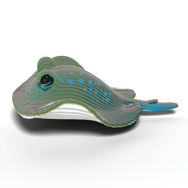 EUGY Stingray