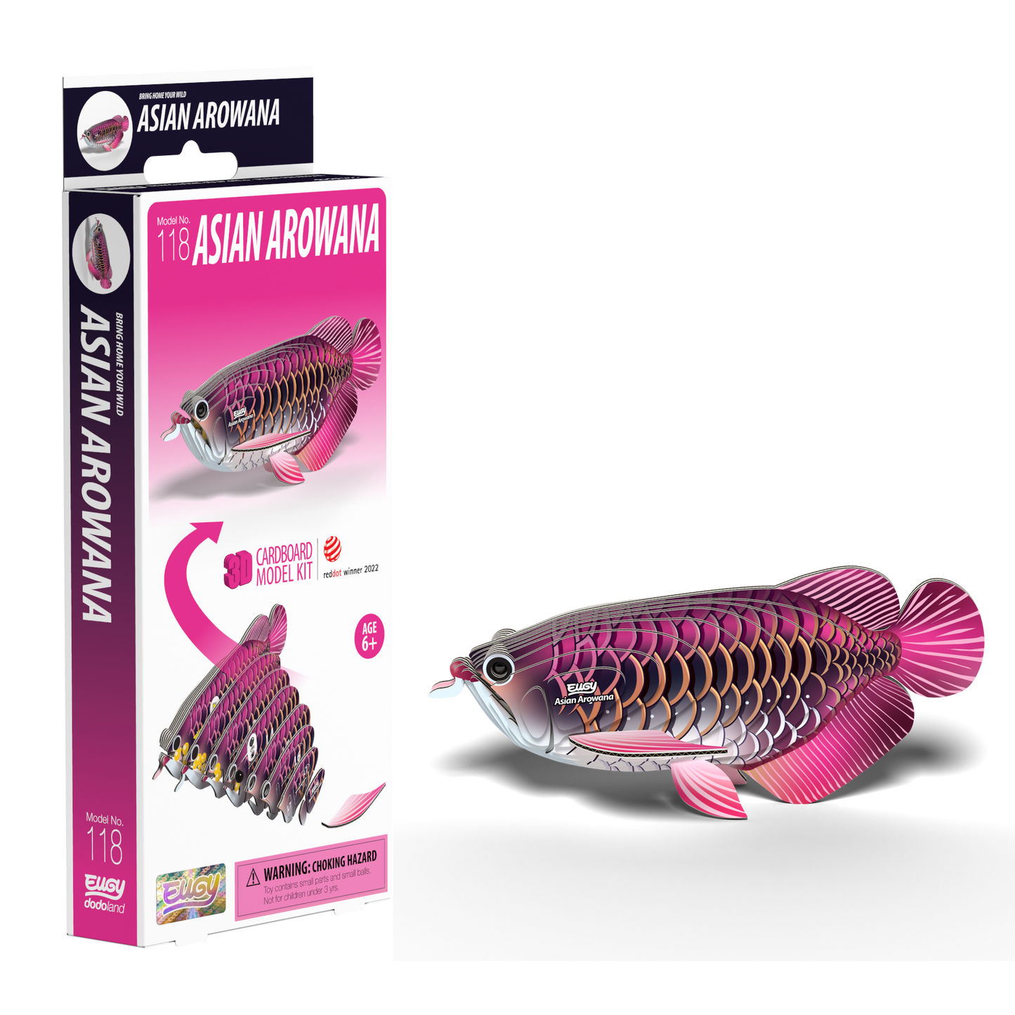 EUGY Asian Arowana