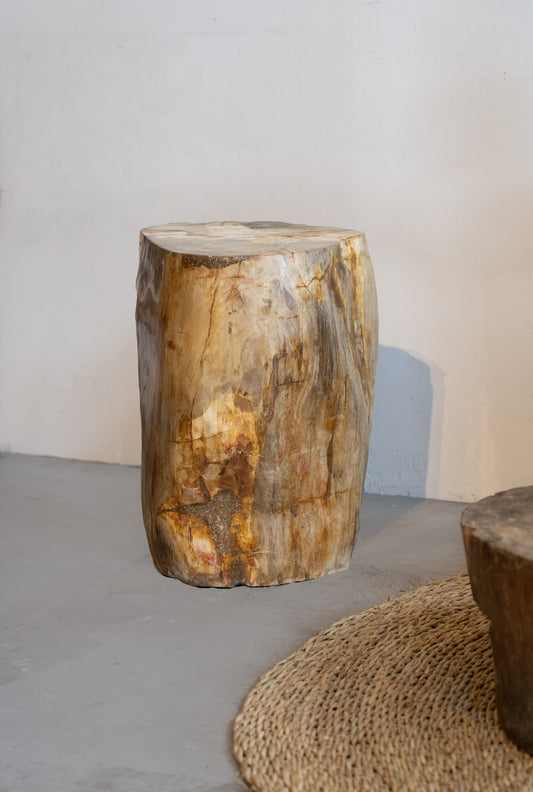 Petrified Wood Side Table / Stool
