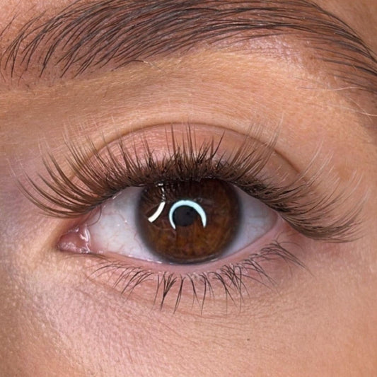 Erin - 'C' Curl Brown Lash Ribbons® - Sale Item