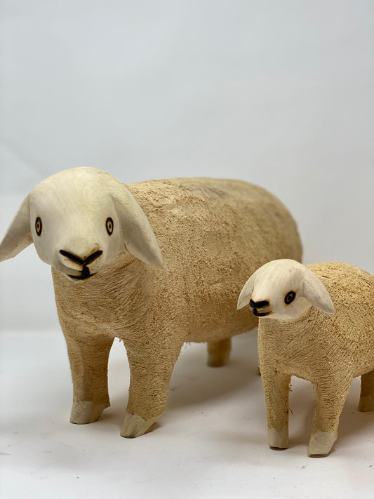 Swazi Sheep