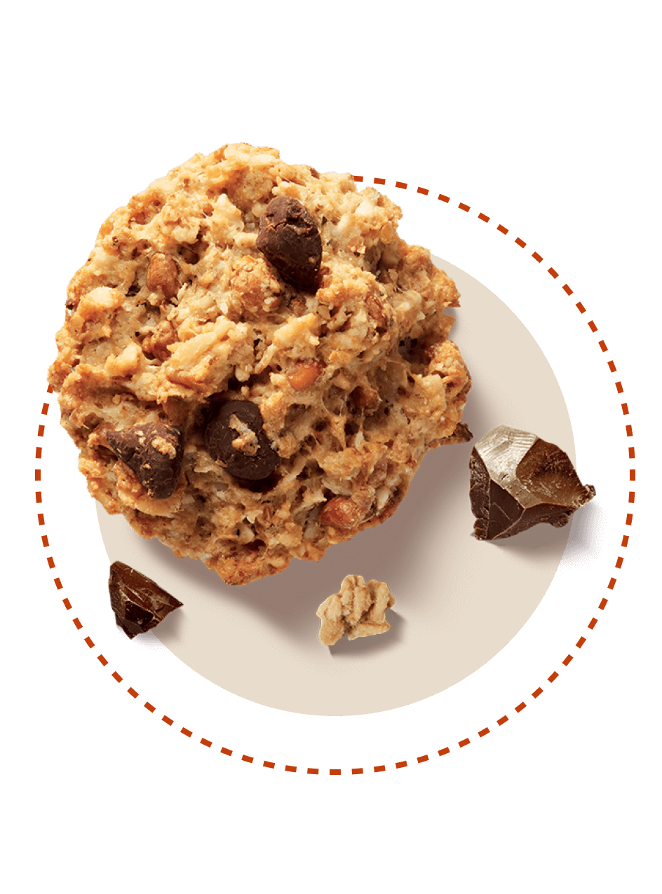 Galbusera Oat Choc Chip Cookies 300g