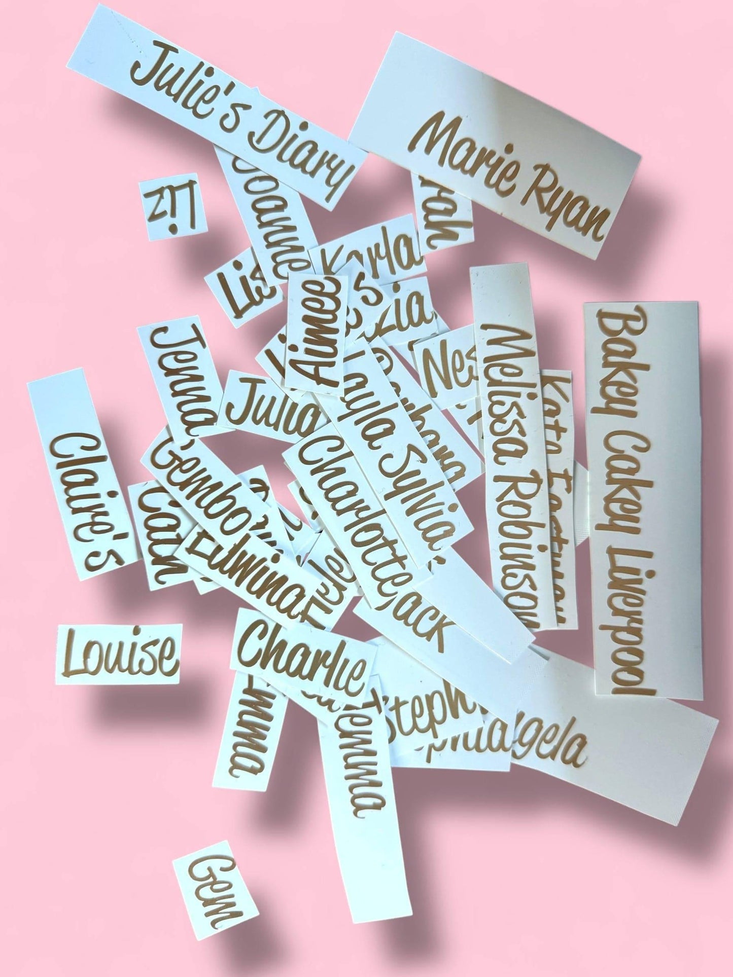 Diary Name Customisation
