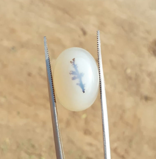18.1ct Natural Dendritic Agate - Shajri Aqeeq -21x15mm