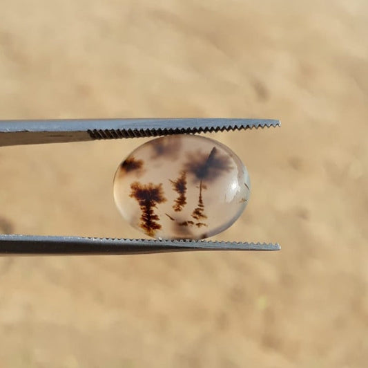 6.7ct Natural Dendritic Agate - Shajri Aqeeq -16x13mm