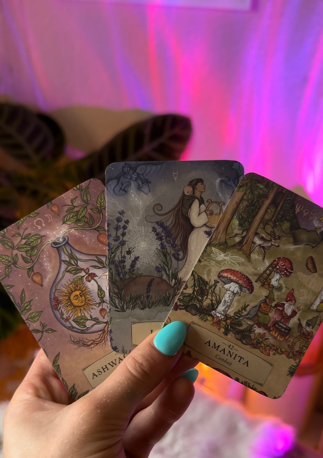The Herbal Astrology Oracle (Full Size) - Adriana Ayales