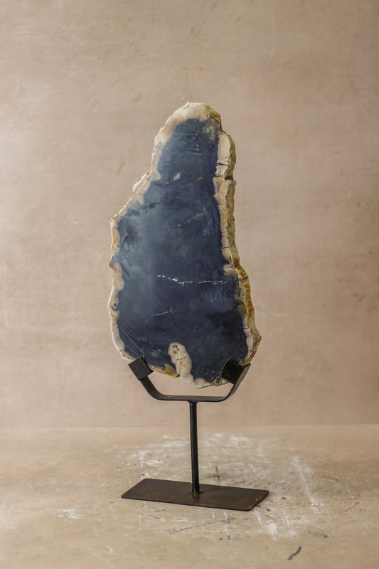 Petrified Wood Display - No 5