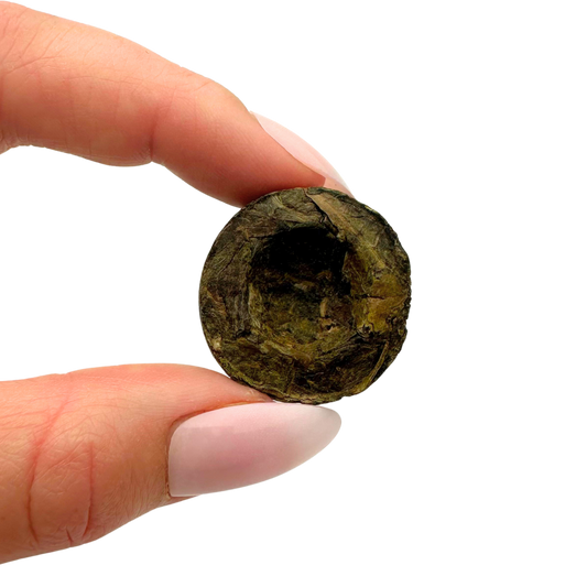 Pu-erh Mini Tuocha