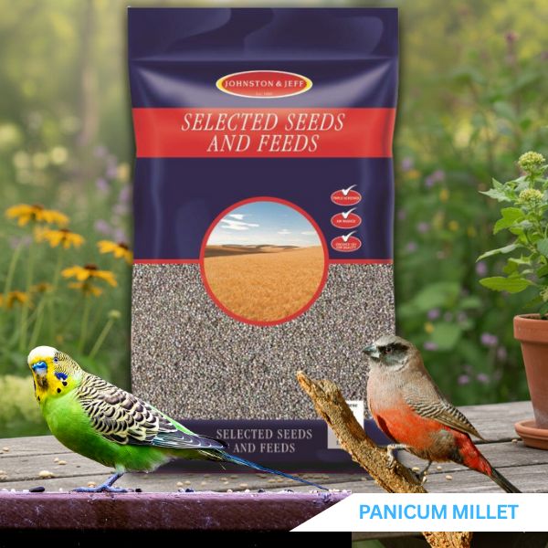 Panicum Millet