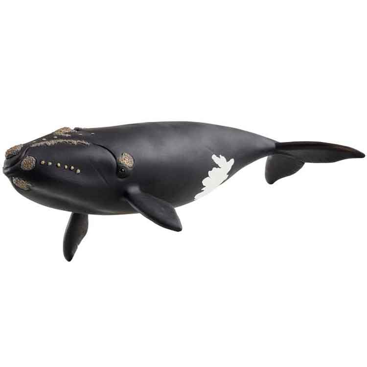 Schleich North Atlantic Right Whale