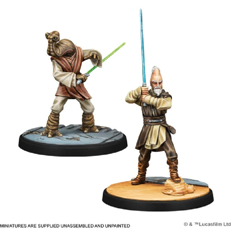 Star Wars Shatterpoint: Wisdom of the Council