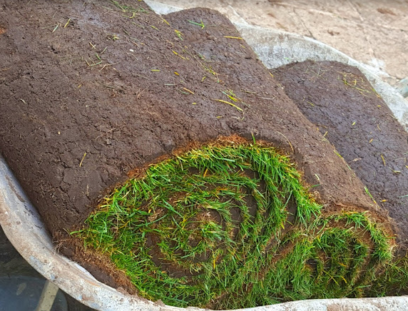 Deluxe Turf *Bulk Buy Saver* FREE Pallet Delivery (select pallet amount)
