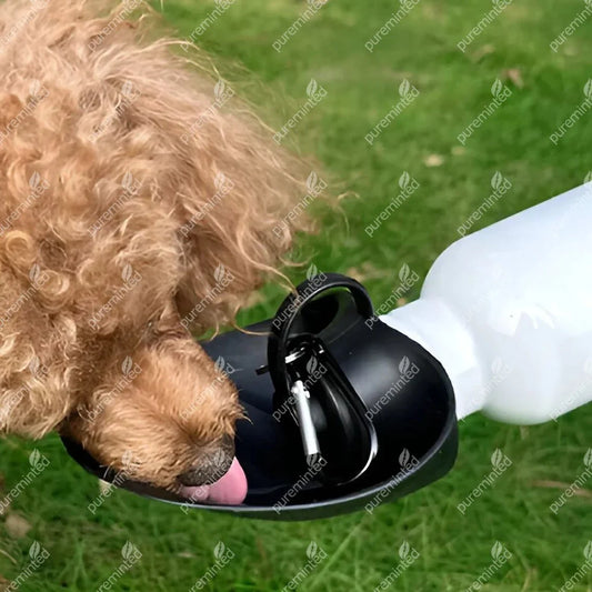 No.1 Dug Da - Water Bottle