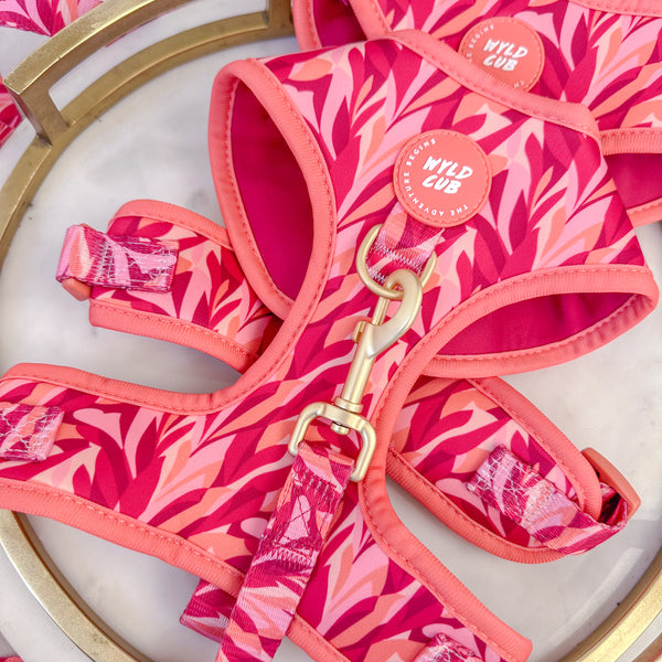 Wyld Cub - Adjustable Dog Harness: Kew Honeysuckle