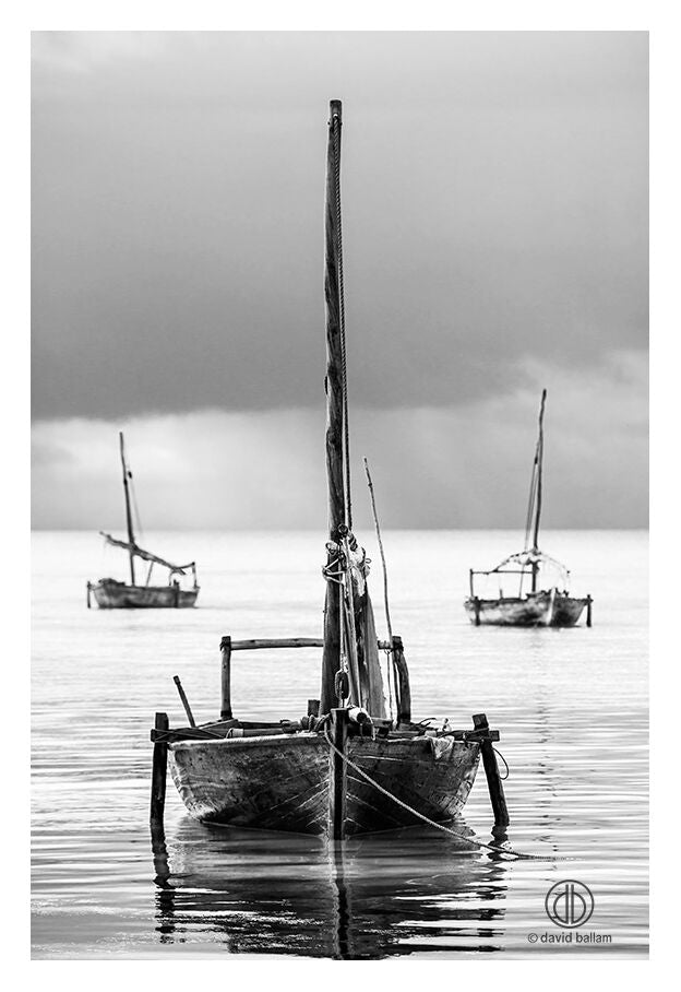 David Ballam - ZAN_15