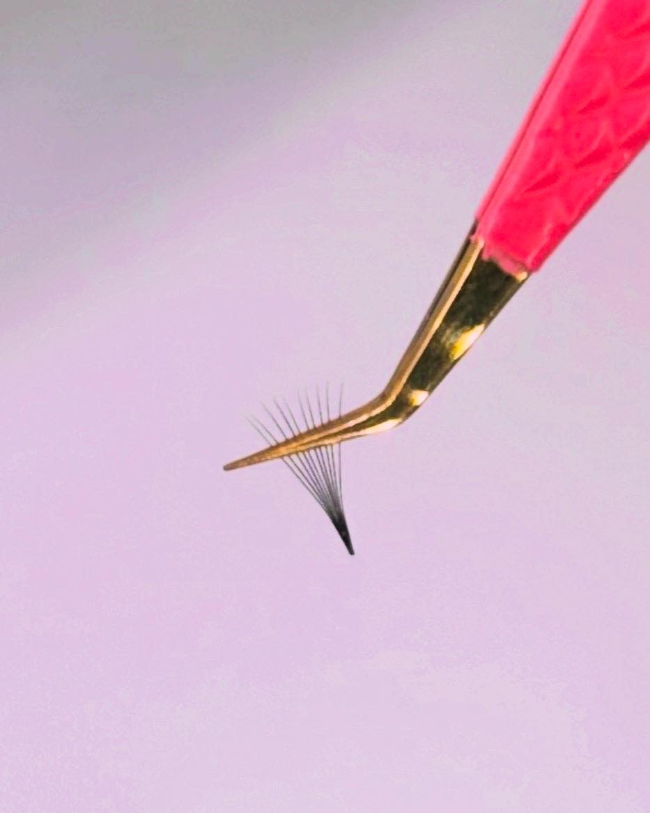 Pre-made 10D Narrow Fans - 1200 Fans