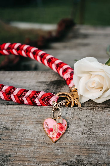 Infinite Braided Collar - Handmade Paracord Dog Collar.