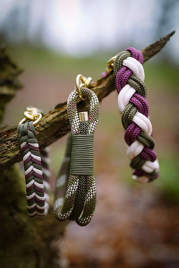 Grizedale Forest Braided - Handmade Paracord Dog Collar.