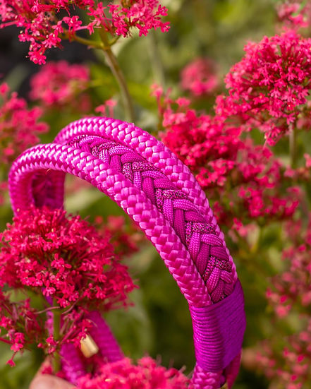 Wildflower Walks - Handmade Luxe Dog Collar