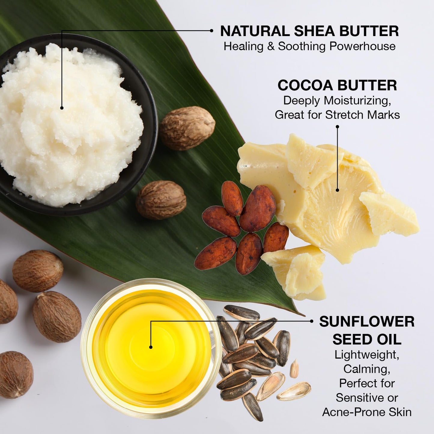 Ginger Lily Farms Botanicals Shea Indulgence Deep Hydration Body Wash – Lavender Chamomile, 1 Gallon, Vegan & Cruelty-Free