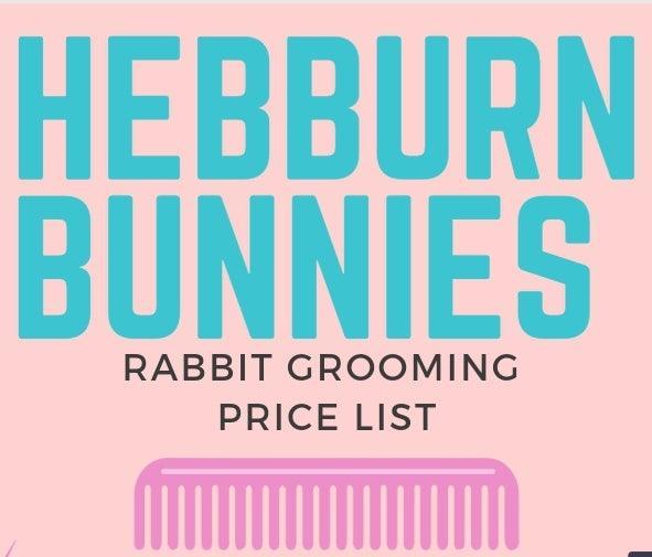 Hebburn Bunnies - Rabbit Grooming