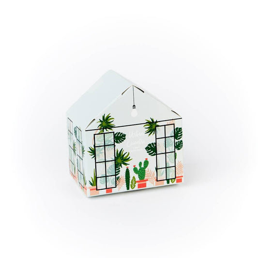 Greenhouse Socks Gift Set