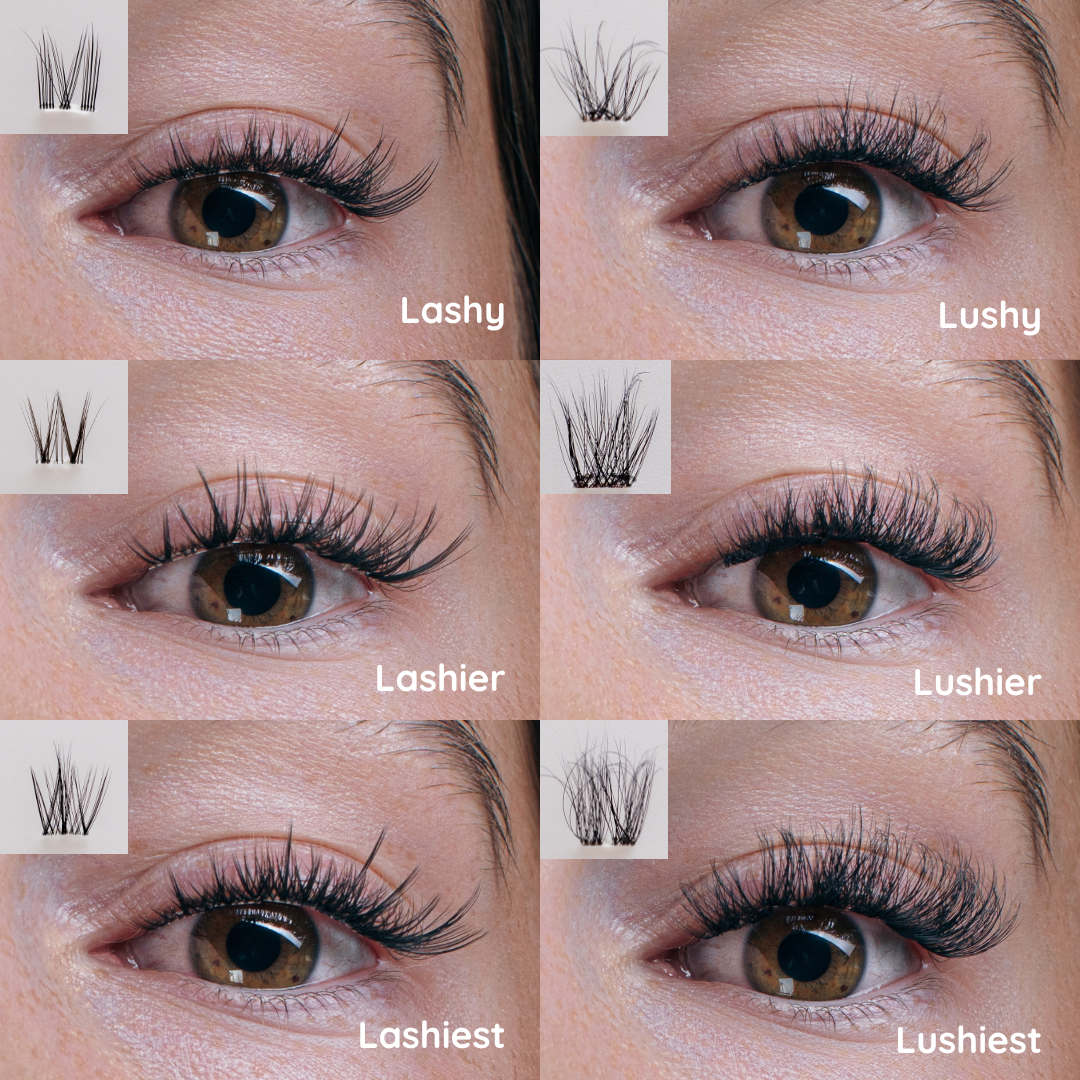 Lushy Lashes