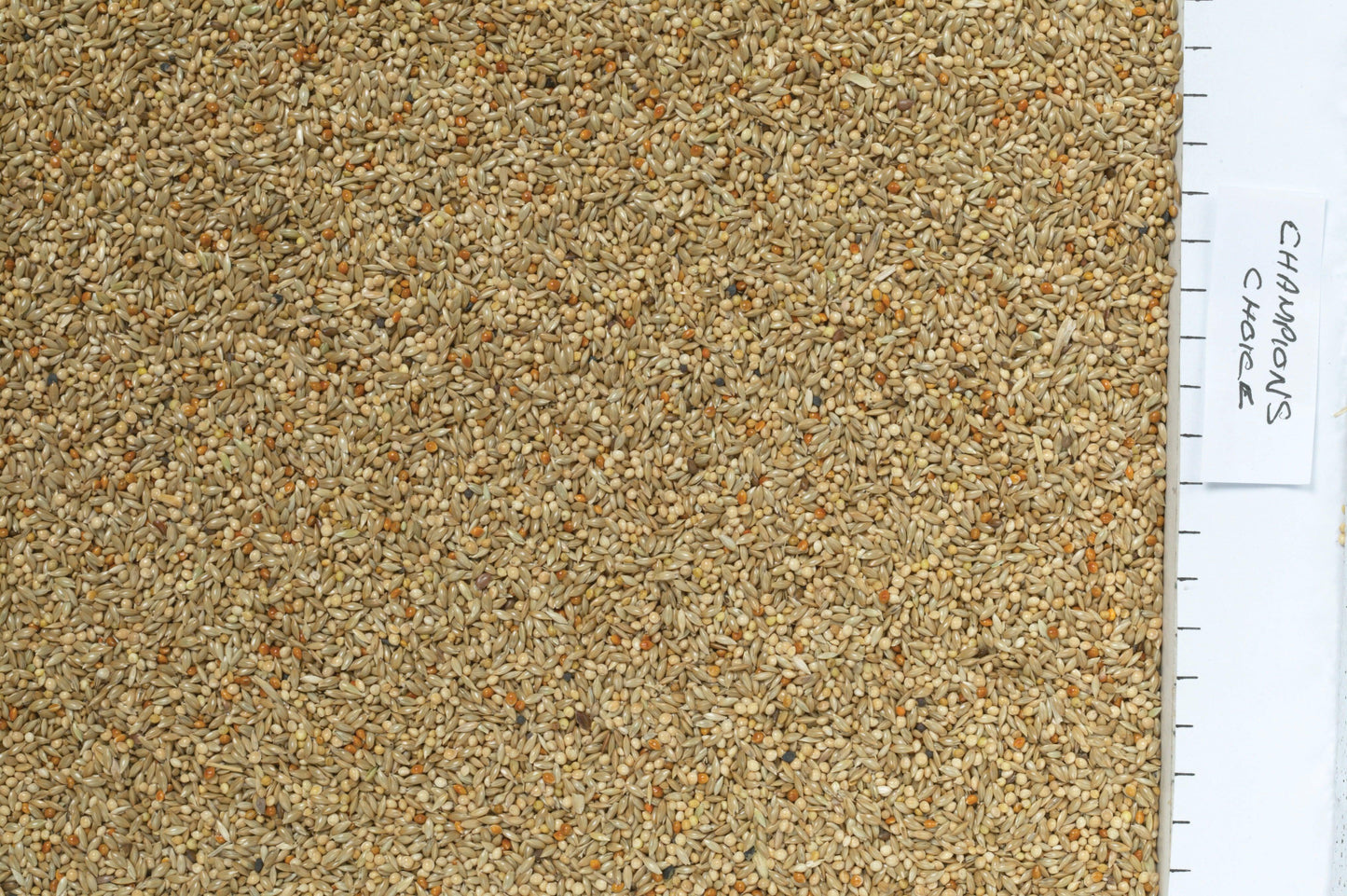 Johnston & Jeff Champions Choice Budgieseed