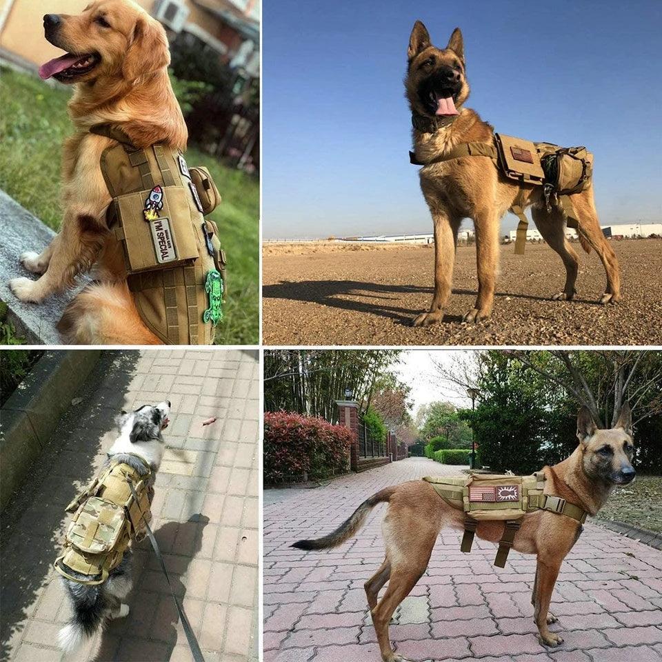 K9 Tactical Harness Patch