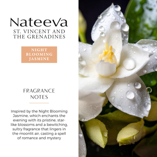 Nateeva St. Vincent Night Blooming Jasmine EDP – 100 ml