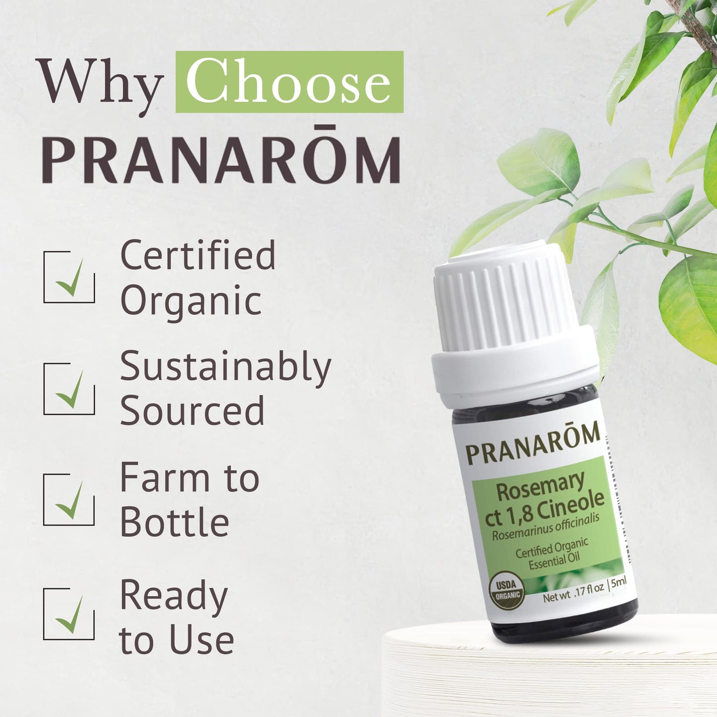 Pranarom USDA Certified Organic Rosemary Cineole Essential Oil (5ml) – 100% Pure Therapeutic Grade